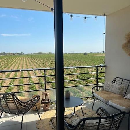 Appartement Vue Vigne Perpignan Exteriör bild