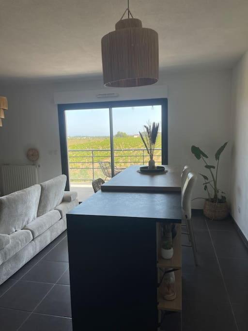 Appartement Vue Vigne Perpignan Exteriör bild